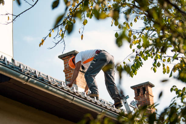Best Roof Gutter Cleaning  in New Castle, PA